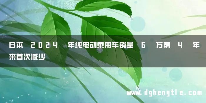 日本 2024 年纯电动乘用车销量 6 万辆 4 年来首次减少